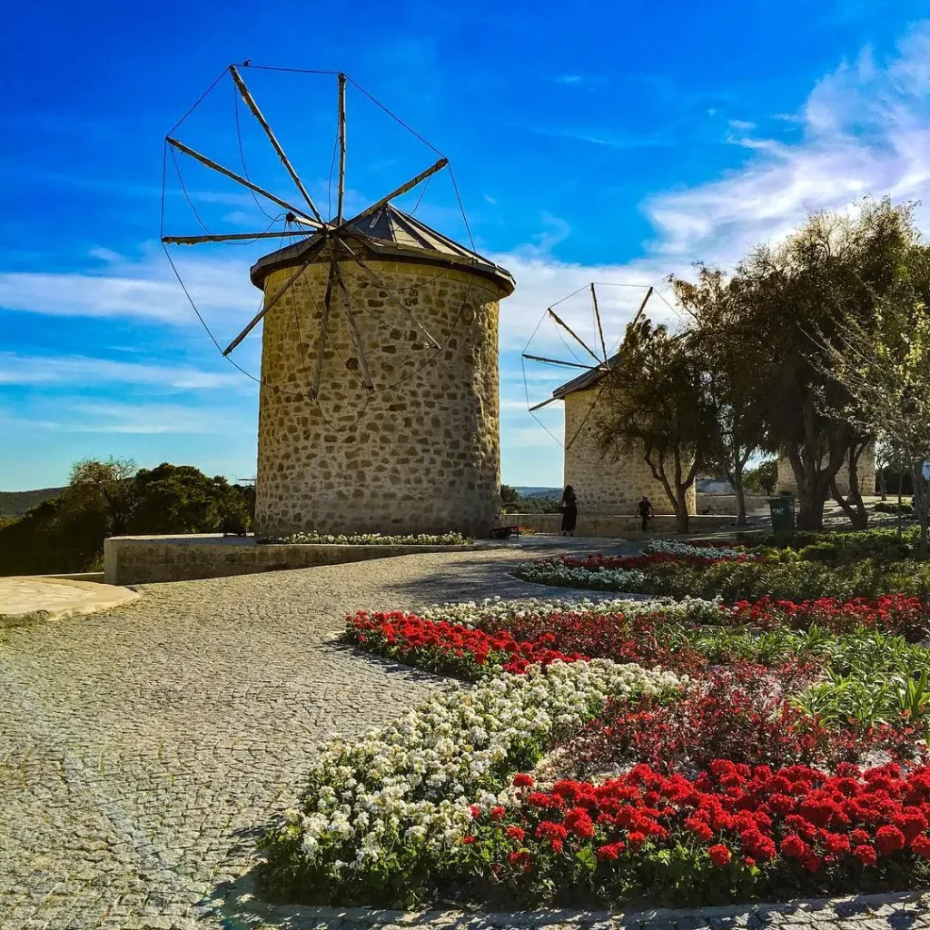 izmir havalimanı alaçatı vip transfer alaçatı rüzgar gülü görseli